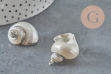 Pendentif coquillage naturel argenté 25mm, x1 (G0070)-Breloques et pendentifs-Gingerlily Perles