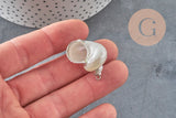 Pendentif coquillage naturel argenté 25mm, x1 (G0070)-Breloques et pendentifs-Gingerlily Perles