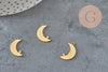 Mondanhänger aus vergoldetem rostfreiem Stahl mit Stern, 17,5 mm, hypoallergenes Schmuckstück aus Stahl ohne Nickelfreisetzung, x1 G6155