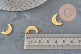 Mondanhänger aus vergoldetem rostfreiem Stahl mit Stern, 17,5 mm, hypoallergenes Schmuckstück aus Stahl ohne Nickelfreisetzung, x1 G6155