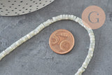 EP - Nácar natural heishi gris pastel, tubo de concha coloreado, cuenta de concha, creación de joyas, 2x4 mm, tira de 185 cuentas G4769