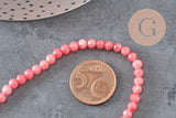 Perla tonda in giada naturale rosa sfaccettata 4mm, x1 filo da 38cm (G2335)