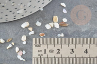 Sable chips coquillage nacre naturelle beige blanc 2-5mm non percé, x20gr (G9309)