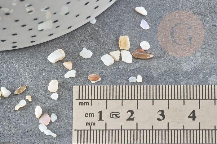 Sable chips coquillage nacre naturelle beige blanc 2-5mm non percé, x20gr (G9309)