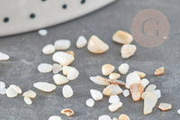 Sable chips coquillage nacre naturelle beige blanc 2-5mm non percé, x20gr (G9309)