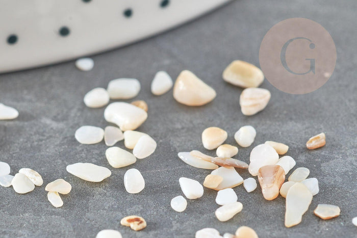 Sable chips coquillage nacre naturelle beige blanc 2-5mm non percé, x20gr (G9309)