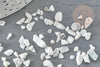 Sable chips pierre howlite blanche naturelle non percé, x20gr (G7669)