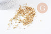 Sable pépite verre doré 1.5~2mm non percé, x10gr (G0846)