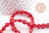 perle ovale corail rouge, perles corail, corail rouge,corail naturel, fil 40cm,6-12mm, x1 (G1827)