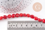 perle ovale corail rouge, perles corail, corail rouge,corail naturel, fil 40cm,6-12mm, x1 (G1827)