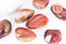 Pierre agate sardonyx naturelle roulée 45-66mm, pierre orange naturelle litotherapie, x1 (G5782)